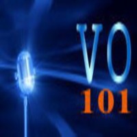 VO101 logo - Similar company to Voicetoons