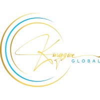 KingZwe IT Consultants logo - Similar company to Tedex It Solutions