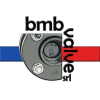 Bmb Valve srl logo - Similar company to Bruschi Srl