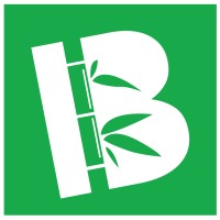 Bamboo logo - Similar company to Comunicalicante - Ca Agencia