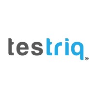 Testriq QA Lab logo - Similar company to Vxl Software