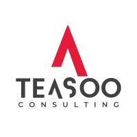 Teasoo Consulting logo - Similar company to Debbystack Technologies