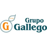 Grupo Gallego Fernández logo - Similar company to Qyntix
