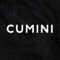 CUMINI TRE S.R.L. logo - Similar company to Arteni Group
