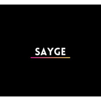 SAYGE Analytics logo - Similar company to Anmol Foundation