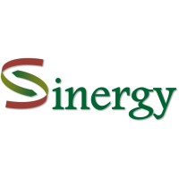 Project SINERGY logo - Similar company to Ae - Architecture And Environment