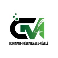 Co-Motive logo - Similar company to Keryon Immo