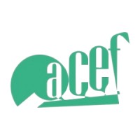 ACEF logo - Similar company to Acef De L'Est