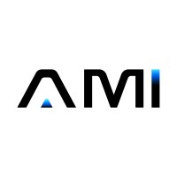 AM Infoweb logo - Similar company to Moon Consultants