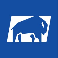 Buffalo Wire Works logo - Similar company to Social Studies, Inc