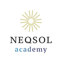 NEQSOL Academy logo - Similar company to Umcc Titanium