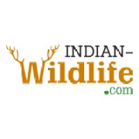 Indian Wildlife logo - Similar company to Tripit India