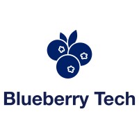 Blueberry Tech logo - Similar company to Navami Infotech