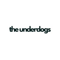 The Underdogs logo - Similar company to Systemeu Valley