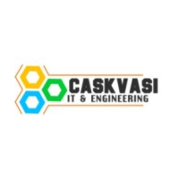 Caskvasi IT & Engineering Pvt Ltd logo - Similar company to Hcl Systems