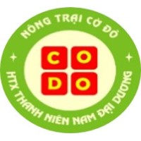 South Ocean Youth Cooperative logo - Similar company to Mightycg Animation Studio