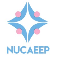 NUCAEEP logo - Similar company to Nupeep - Núcleo Paulista De Estudantes De Engenharia De Produção
