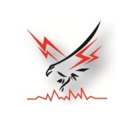 Loyal Group of Companies logo - Similar company to Loyal General Contracting