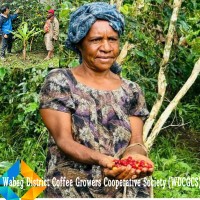 Wabag District Coffee Growers Cooperative Society (WDCGCS) logo - Similar company to Automate Tek