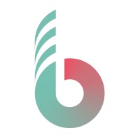 birkenstreet logo - Similar company to Loily