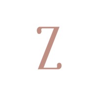 Z VISIONS logo - Similar company to Z Vision