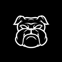 Underdog Performance, Inc