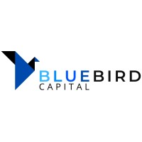 Blue Bird Capital logo - Similar company to Blue Bird Capital Ag