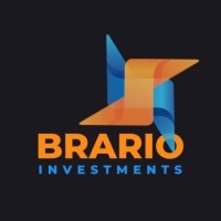 BRARIO INVESTMENTS logo - Similar company to Crown Technologies Za