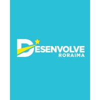 Desenvolve Roraima logo - Similar company to 4Conectar