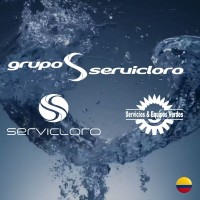 Grupo Servicloro logo - Similar company to Symtek