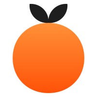 Channel Orange logo - Similar company to Prolink