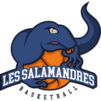 Le HAC Basket-Ball logo - Similar company to Dragons Sevens