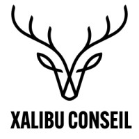 Xalibu Conseil logo - Similar company to Nsgp Info