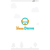 WeeeDrive logo - Similar company to Valiresoftware