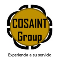 COSAINT GROUP logo - Similar company to Cotral Peru