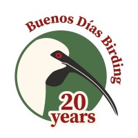Buenos Dias Birding logo - Similar company to Ibera Birding Lodge