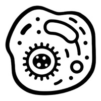 Stemuro logo - Similar company to Stories Behind Things