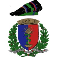 CEPPV logo - Similar company to Hungarian Pharmaceutical Students' Association