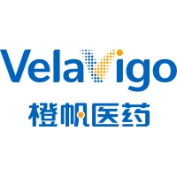 VelaVigo logo - Similar company to Thelper