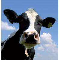 Teysha Ranching LLC logo - Similar company to Austin E. Knowlton Foundation Inc.