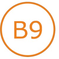Box Nine - Racing Workshop logo - Similar company to One Star
