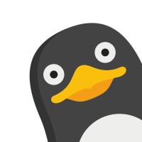 Silly Duck VPN logo - Similar company to Ipvanish Vpn