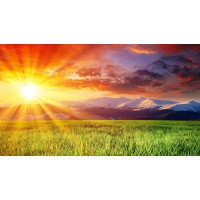 SunTerrain EcoPower logo - Similar company to Exsorbtion Inc.