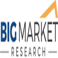 Big Market Research logo - Similar company to Wiseguy