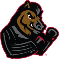 Hot Springs Wiseguys - The Arena League Football logo - Similar company to Newtforce