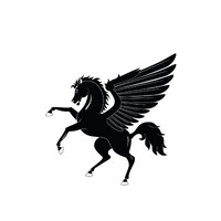 Pegasus Technologies logo - Similar company to Raycom Technologies Ltd