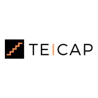 TEICAP logo - Similar company to Fekra Group