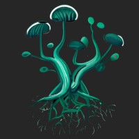 Mushroom Protocol logo - Similar company to Medisync