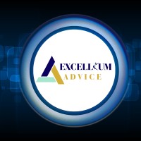 Excellium Advice : Cabinet de conseils en ressources humaines. logo - Similar company to Ci-Lance