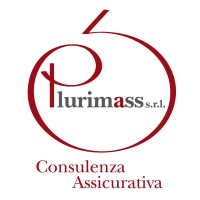 Plurimass SRL logo - Similar company to Cb Digital - Gruppo Consulbrokers S.P.A.